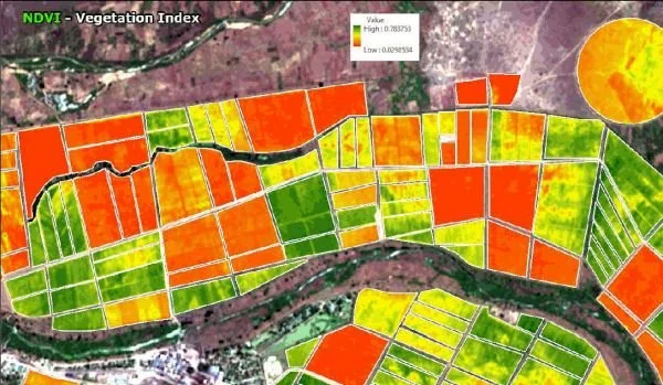 Monitoring agricole par IA et imagerie satellite